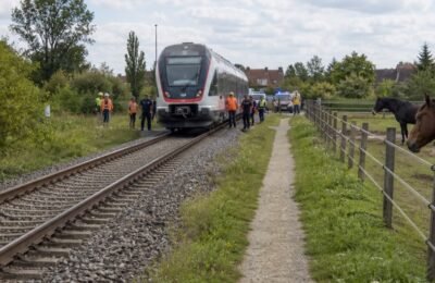 Дрезден транспорт: Дрезден транспорт: Pferde stoppen Zugverkehr bei Radebeul