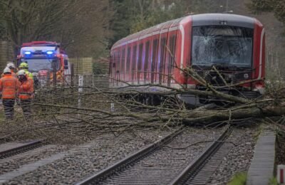 Гамбург: Гамбург: после столкновения S-Bahn с деревом пассажиры снова столкнулись со сбоями