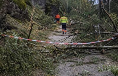 Дрезден происшествия: Дрезден: Unwetter bei Rathen оставило Sperrungen и долгие работы