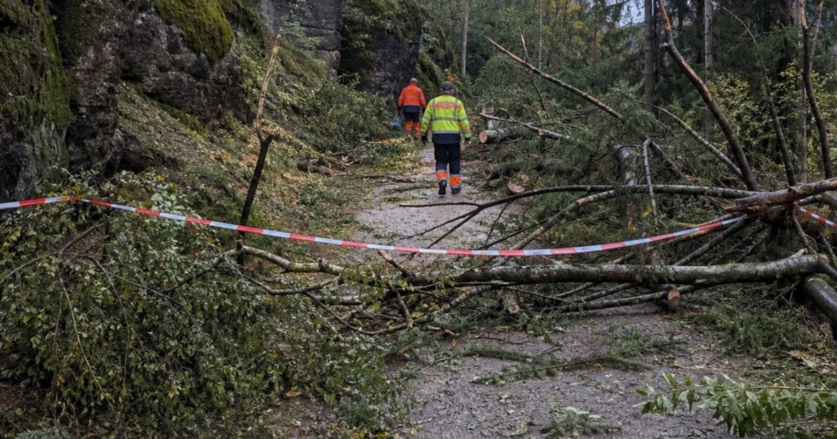 Дрезден происшествия: Дрезден: Unwetter bei Rathen оставило Sperrungen и долгие работы Дрезден происшествия: Дрезден: Unwetter bei Rathen оставило Sperrungen и долгие работы